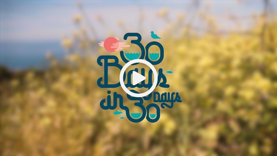 30 bays in 30 days James Harrison Filmmaker Guernsey